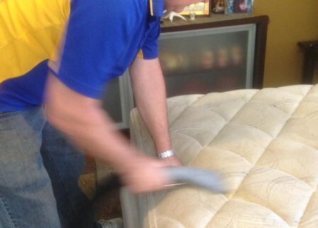 Upholstery Cleaning